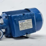 پمپ آب یک اسب محیطی رایوال NX80